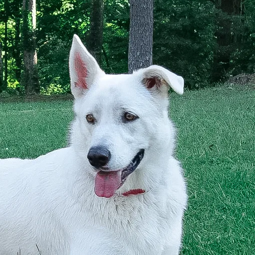 Monroe, our Princess Mascot